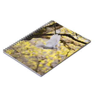 Caderno Espiral Rola Branca Colomba Amor & Paz Símbolo Ave Fofa 