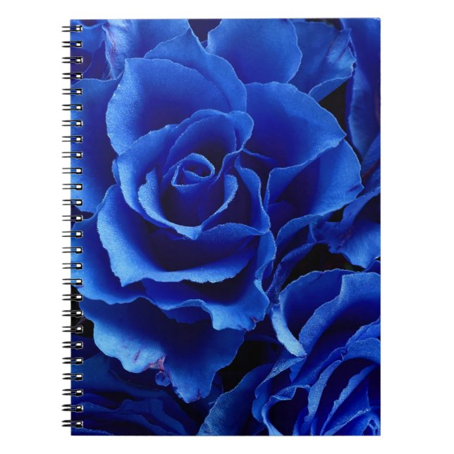Caderno Espiral Romance de flores rosas azuis (Frente)