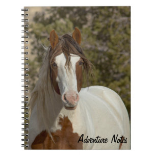 Caderno Espiral Romeu - Notebook espiral