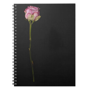 Caderno Espiral Rosa 3 do rosa