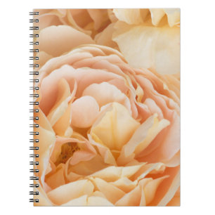 Caderno Espiral Rosa amarela