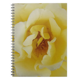 Caderno Espiral Rosa Amarela