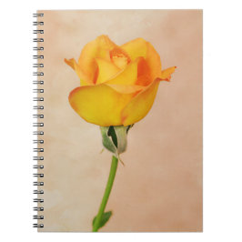 Caderno Espiral Rosa Amarela bonito do Jardim de Gertie