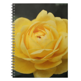 Caderno Espiral Rosa amarelo bonito