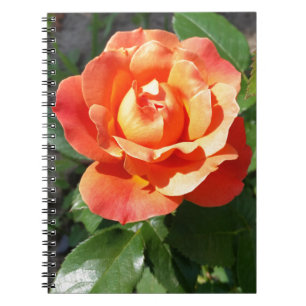 Caderno Espiral rosa amarelo brilhante