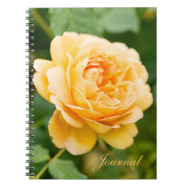 Caderno Espiral Rosa Amarelo-Laranja
