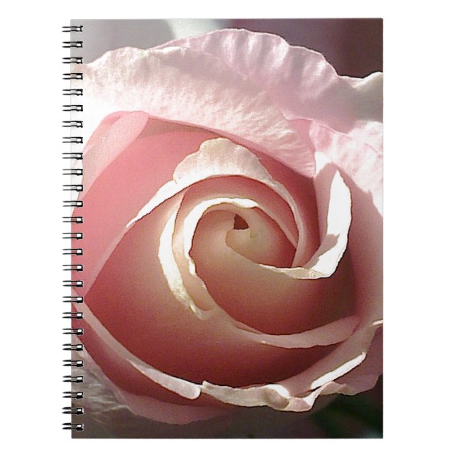 Caderno Espiral Rosa bonito do rosa (Frente)