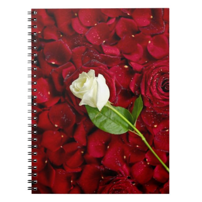 Caderno Espiral Rosa branco nas pétalas vermelhas (Frente)