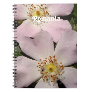 Caderno Espiral Rosa de cão