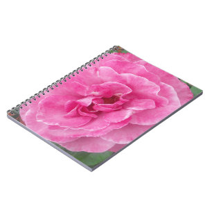 Caderno Espiral Rosa de Jardim Rosa