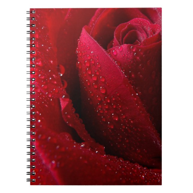 Caderno Espiral Rosa de Macro Vermelho com Gotas de Água (Frente)