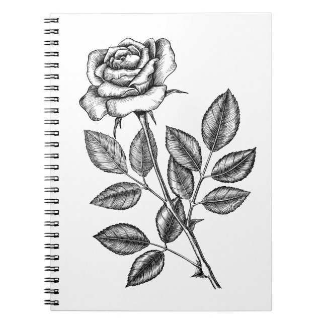 Caderno Espiral Rosa desenho 2 (Frente)