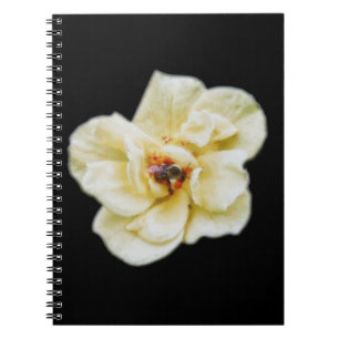 Caderno Espiral Rosa e Abelha