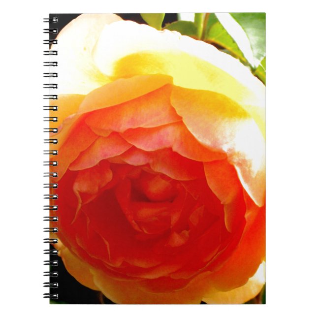 Caderno Espiral Rosa floral de damasqueiro amarelo-esguicho (Frente)