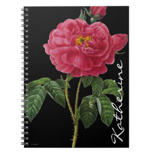 Caderno Espiral Rosa Gallica