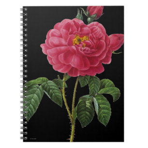 Caderno Espiral Rosa Gallica