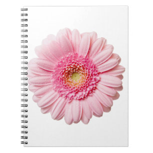 Caderno Espiral Rosa Gerbera Daisy