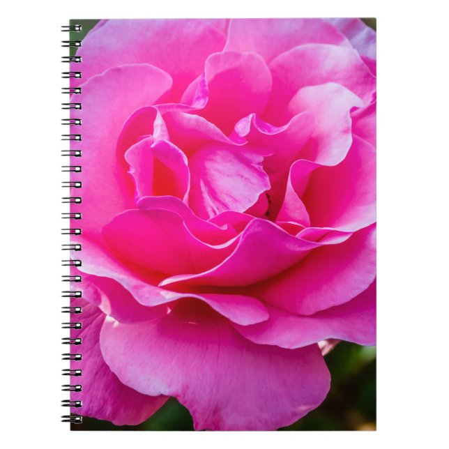 Caderno Espiral Rosa rosa delicada. (Frente)