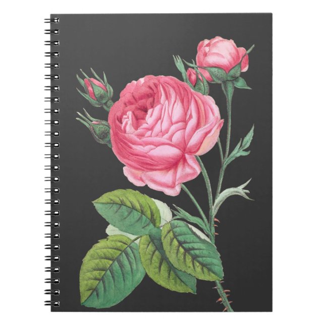 Caderno Espiral Rosa rosa floral moderno (Frente)