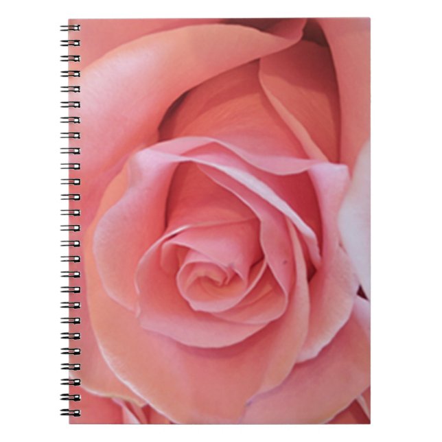 Caderno Espiral Rosa Rosa Rosa (Frente)