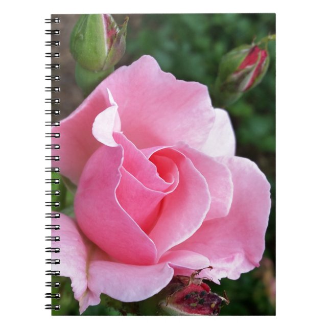 Caderno Espiral rosa rosa rosa florescente (Frente)
