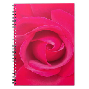Caderno Espiral Rosa Rosa Rosa Vermelha Romântica