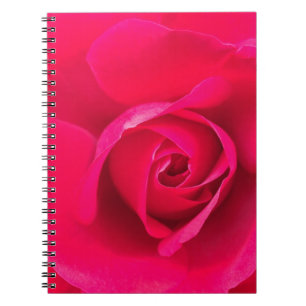 Caderno Espiral Rosa Rosa Vermelha Romântica v2