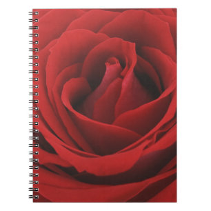 Caderno Espiral Rosa vermelha de florescência