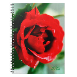 Caderno Espiral Rosa vermelha magnífica com gotas de orvalho