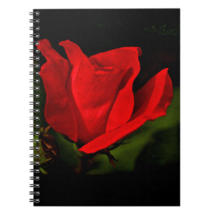 Caderno Espiral Rosa vermelha - Paixão Escura