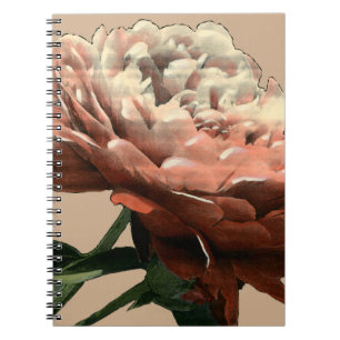 Caderno Espiral Rosa vermelha Ruby com Destaques Brancos