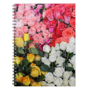 Caderno Espiral Rosas à venda, San Miguel de Allende, México