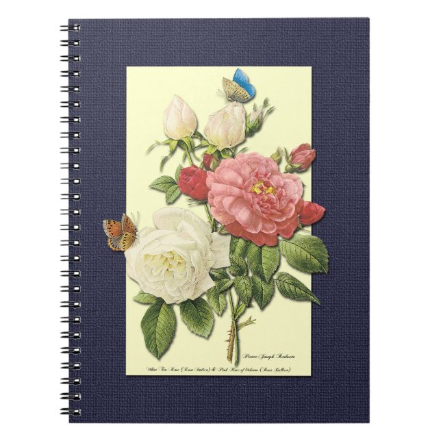 Caderno Espiral Rosas Botânicos de Vintagem Branca Rosa (Frente)