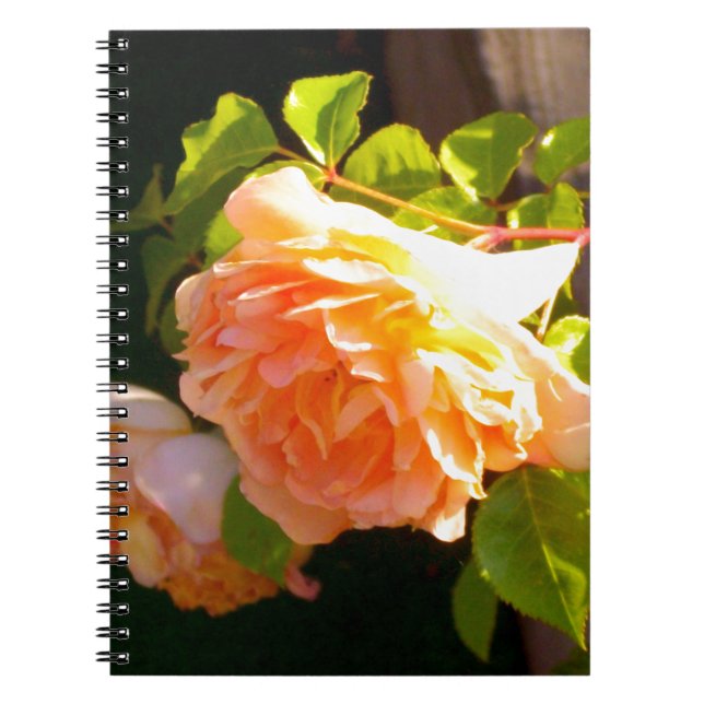 Caderno Espiral Rosas de Pêssego do País (Frente)