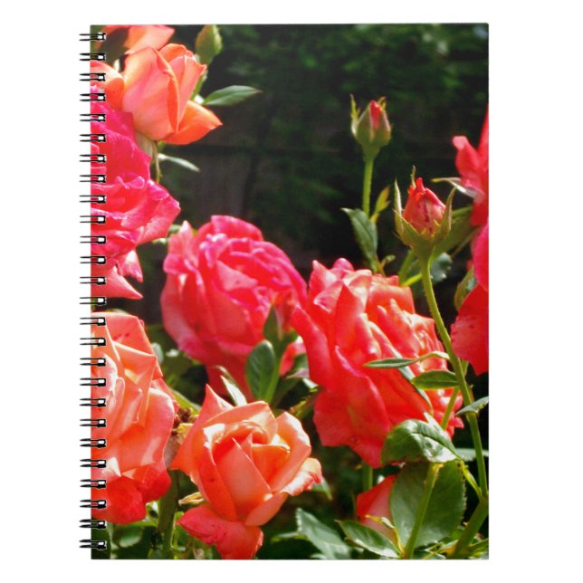 Caderno Espiral Rosas florais cor-de-laranja-rosa Elegante (Frente)