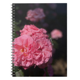 Caderno Espiral Rosas Rosa