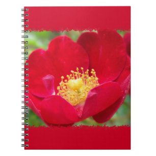 Caderno Espiral Rosas são notebook vermelho