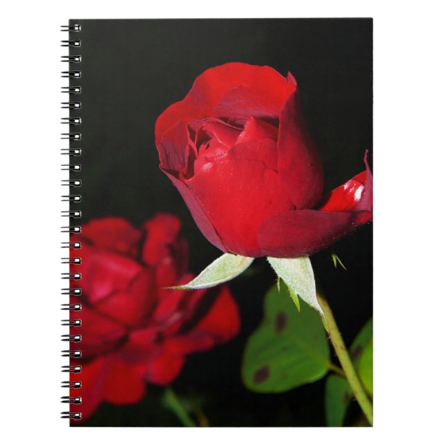 Caderno Espiral Rosas vermelhas (Frente)