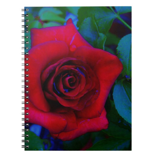Caderno Espiral Rosas vermelhas com tons azuis (Frente)