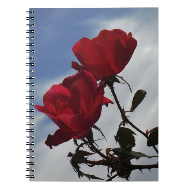 Caderno Espiral Rosas vermelhas contra o céu azul brilhante (Frente)