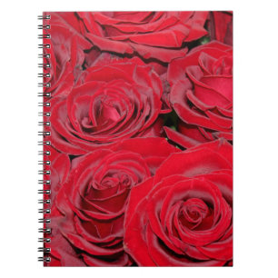 Caderno Espiral Rosas vermelhas vibrantes