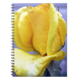 Caderno Espiral Rosebud Amarela