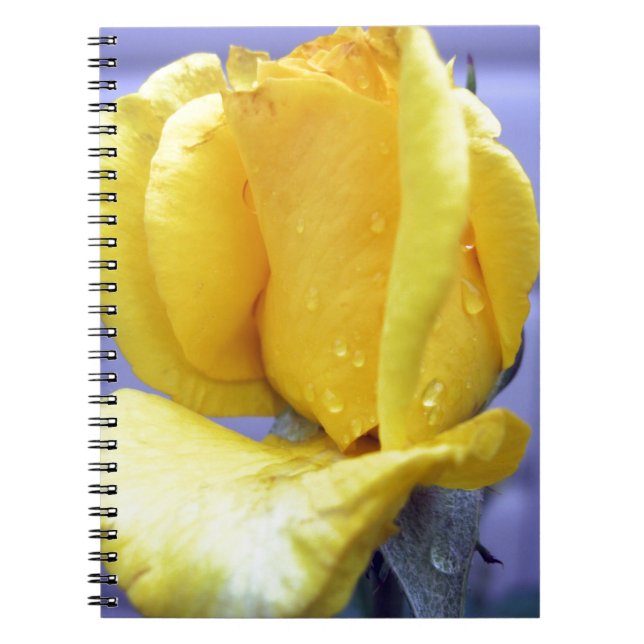 Caderno Espiral Rosebud Amarela (Frente)
