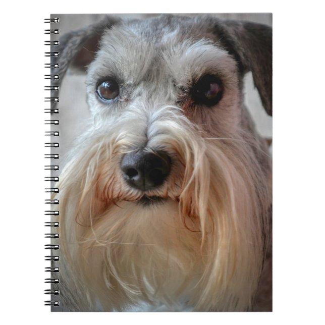 Caderno Espiral Rosto de Cachorro Schnauzer (Frente)