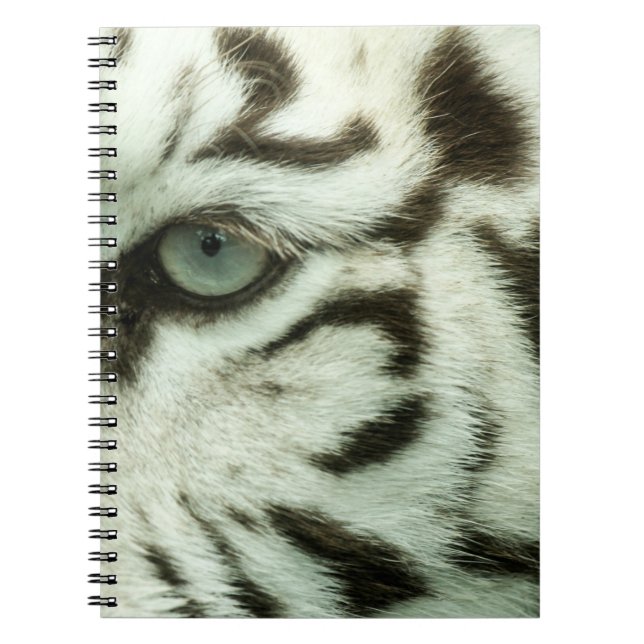 CADERNO ESPIRAL ROSTO DE TIGRE BRANCO (Frente)