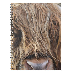 CADERNO ESPIRAL ROSTO DE VACA DE BOVINO DE ALTA TERRA