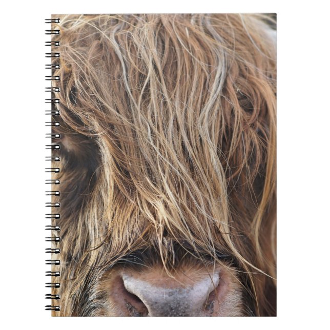 CADERNO ESPIRAL ROSTO DE VACA DE BOVINO DE ALTA TERRA (Frente)