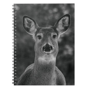 Caderno Espiral Rosto De Veado Preto E Branco 