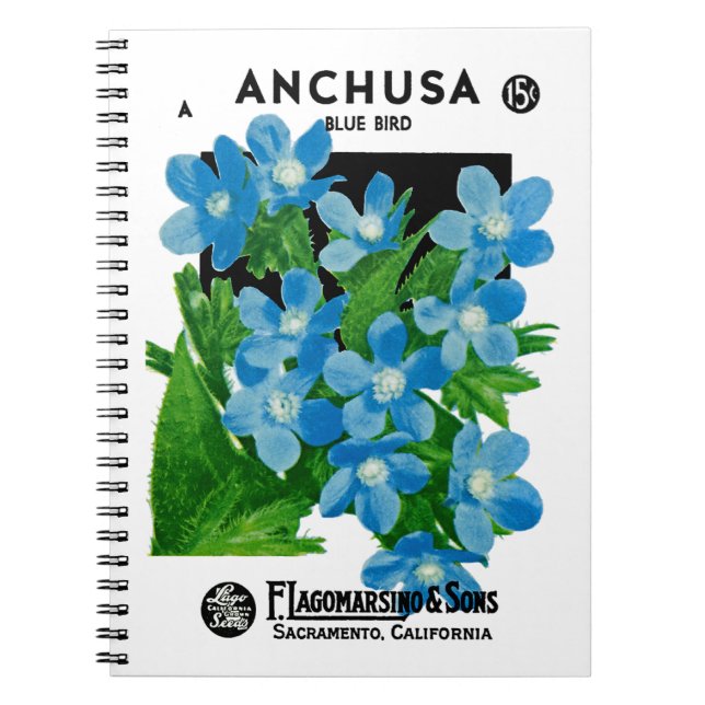 Caderno Espiral Rótulo do Pacote de Sementes Anchusa (Frente)