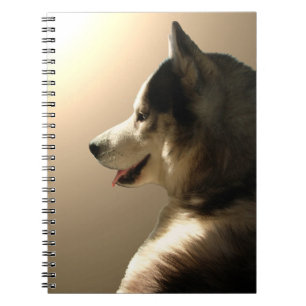 Caderno Espiral Rouco Notebook Siberian Husky Pup Diário Book